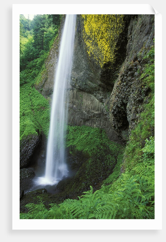 USA, Oregon, Columbia River Gorge Area, Scenic Waterfalls, Latourelle Falls by Anonymous