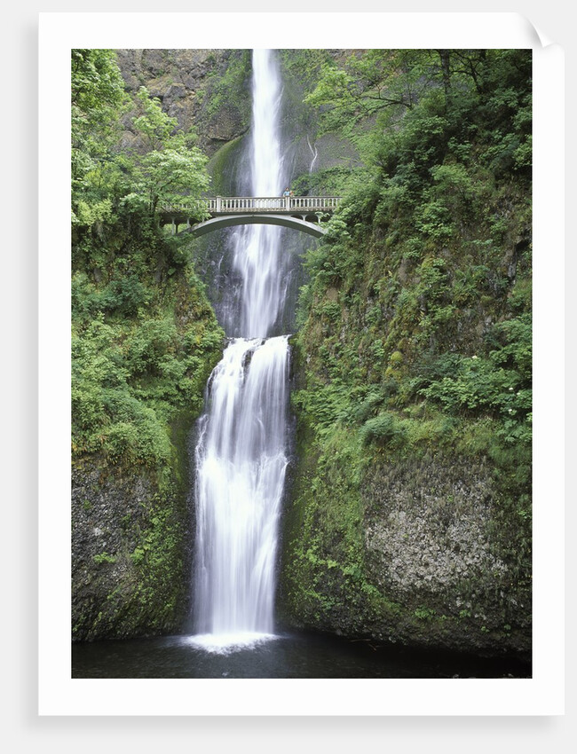 USA, Oregon, Columbia River Gorge Area, Scenic Waterfalls, Multonomah Falls by Anonymous
