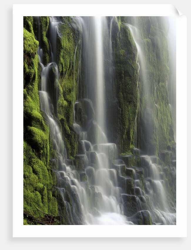 USA, Oregon, Proxy Falls - Waterfall Details by Anonymous