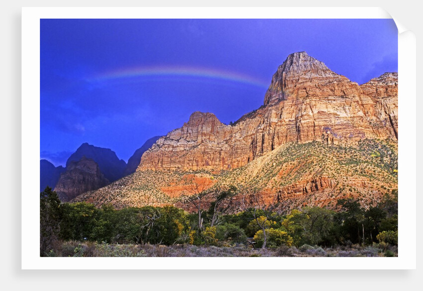 Rainbow, The Watchman, Zion National Park, Utah, USA by Anonymous