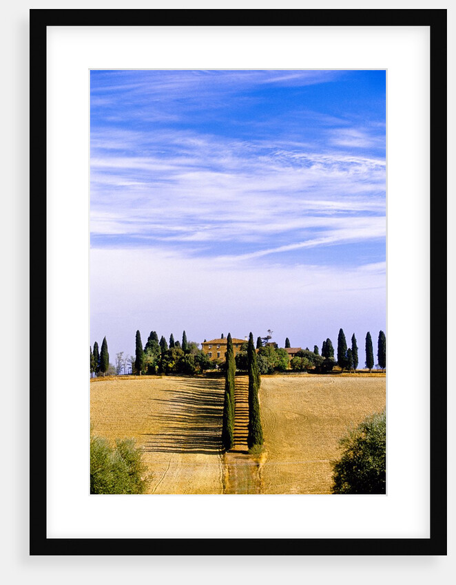 Tuscany landscape by Anonymous