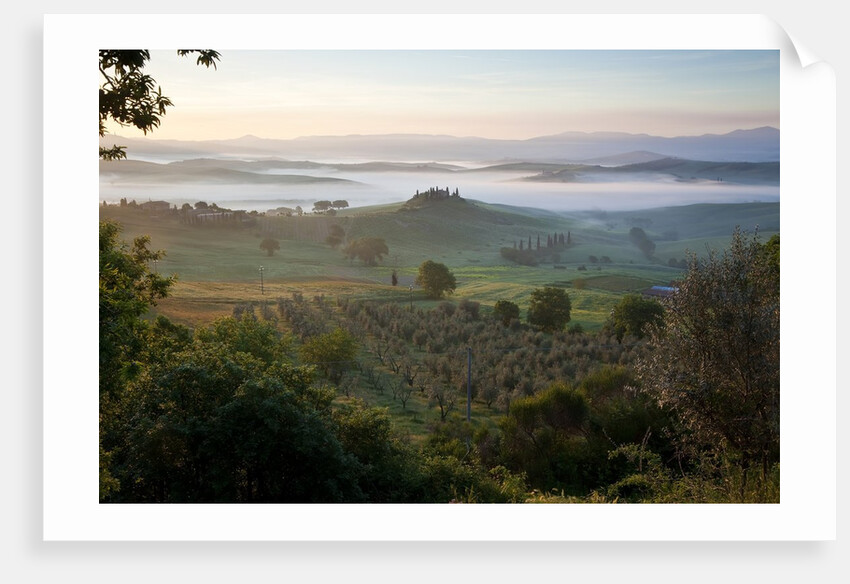 Ground fog at dawn in Val d'Orcia by Anonymous