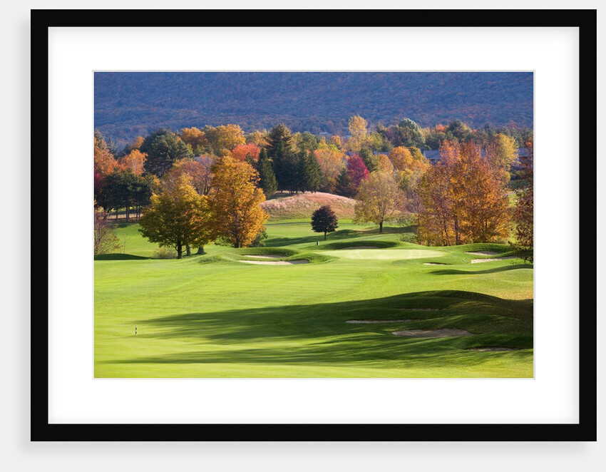 Golf course in Manchester, Vermont by Anonymous