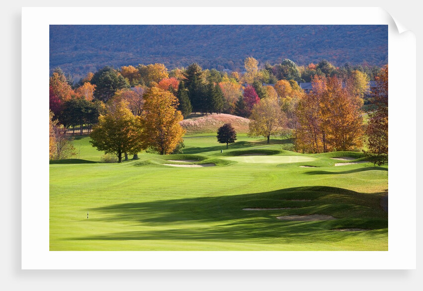 Golf course in Manchester, Vermont by Anonymous