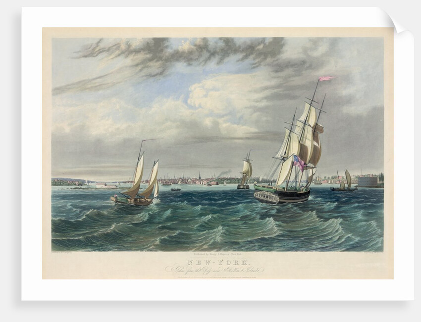 New York Harbor by Anonymous