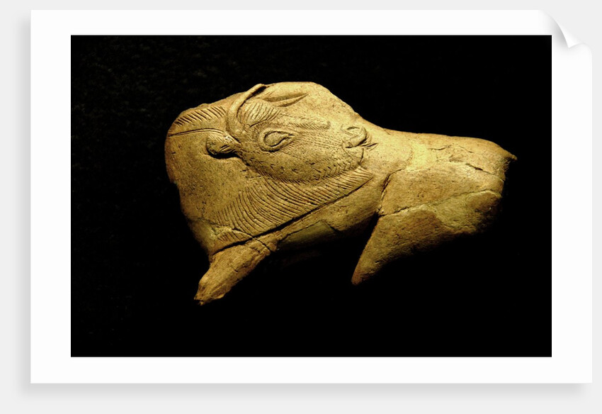 Neolithic ivory bison by Anonymous