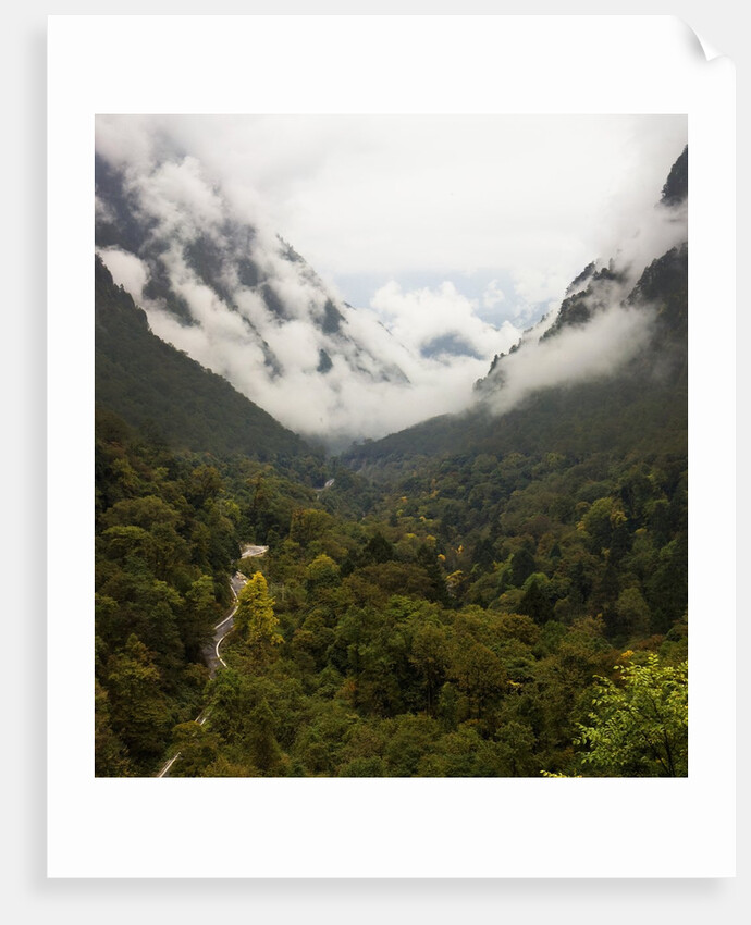 Hailuogou Glacier Forest Park by Anonymous
