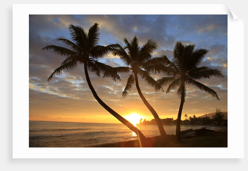 Sunrise, Windward Oahu, Hawaii by Anonymous