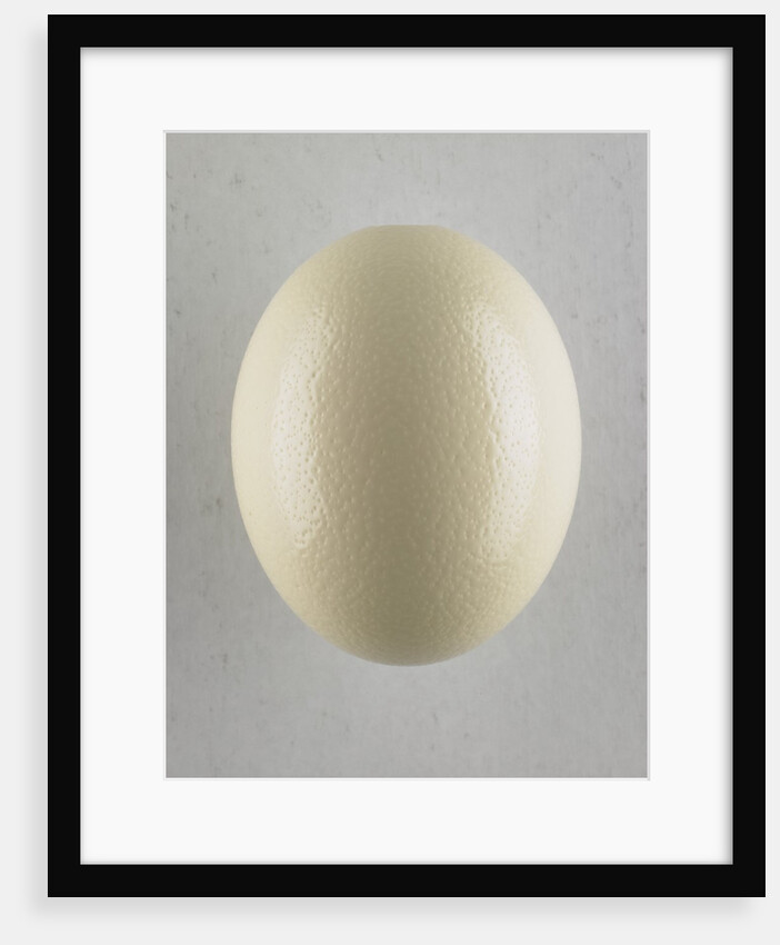 Egg by Anonymous