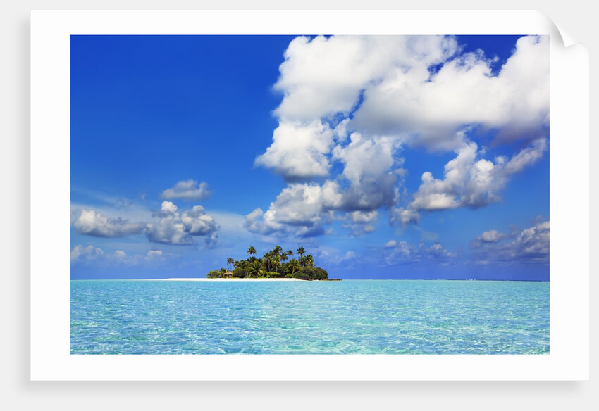 Idyllic atoll in the Maldives by Anonymous
