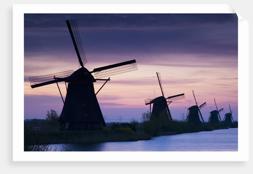 Row of windmills at sunrise in the Netherlands by Anonymous