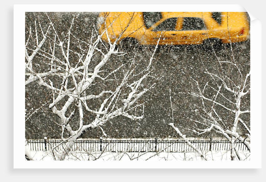 Yellow cab on Park Avenue in a snowstorm by Anonymous