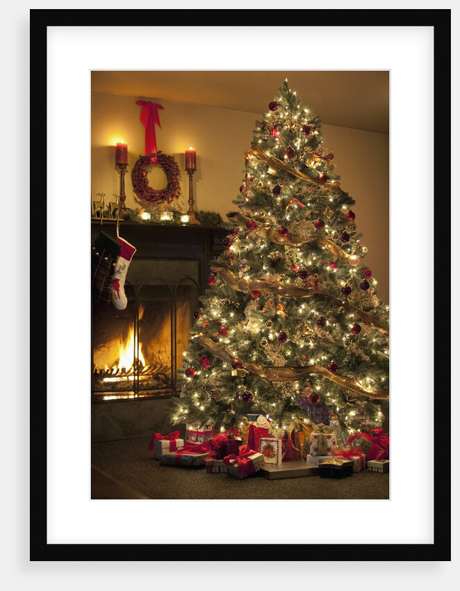 Christmas tree by Anonymous