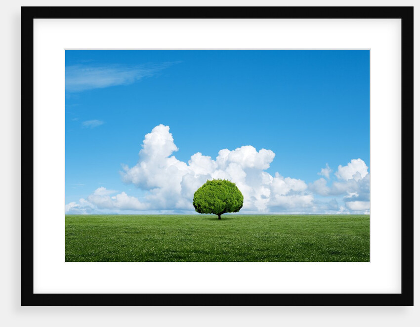 Lone tree in grassland by Anonymous