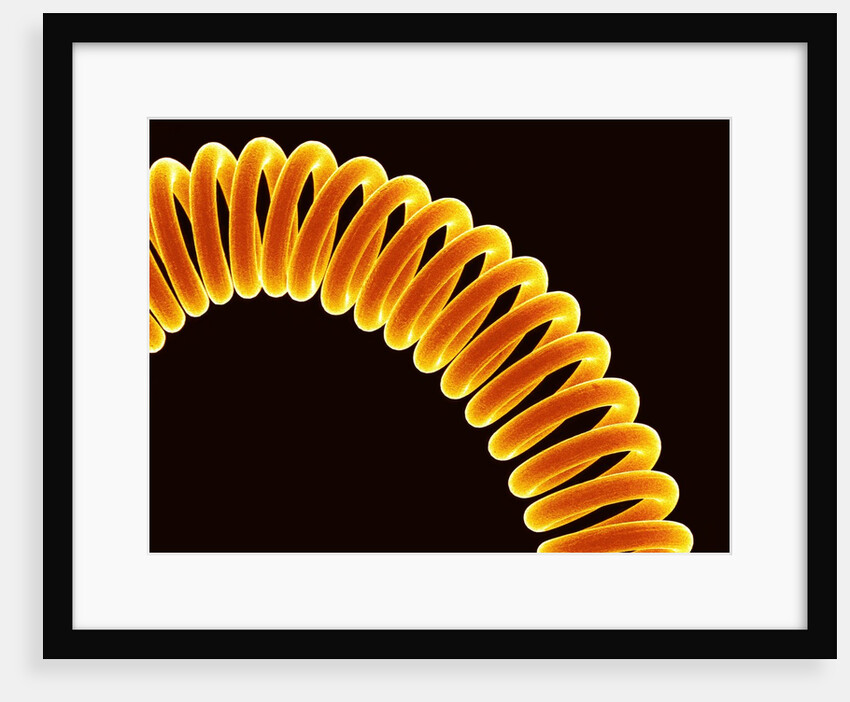 Filament of light bulb by Anonymous