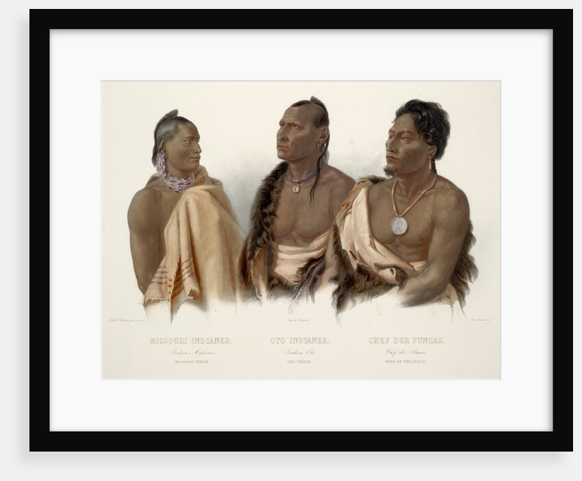 Missouri Indian, Oto Indian, Chief of the Puncas by Karl Bodmer