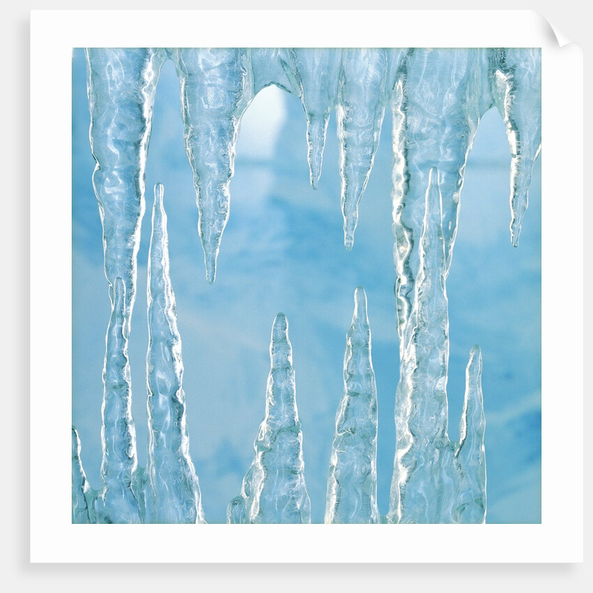 Icicles by Anonymous
