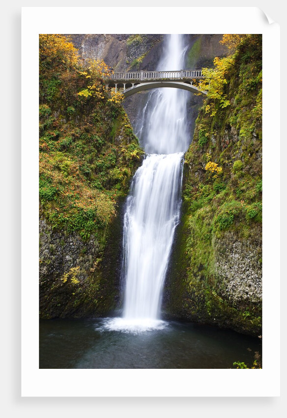 Lower half of Multnomah Falls by Anonymous
