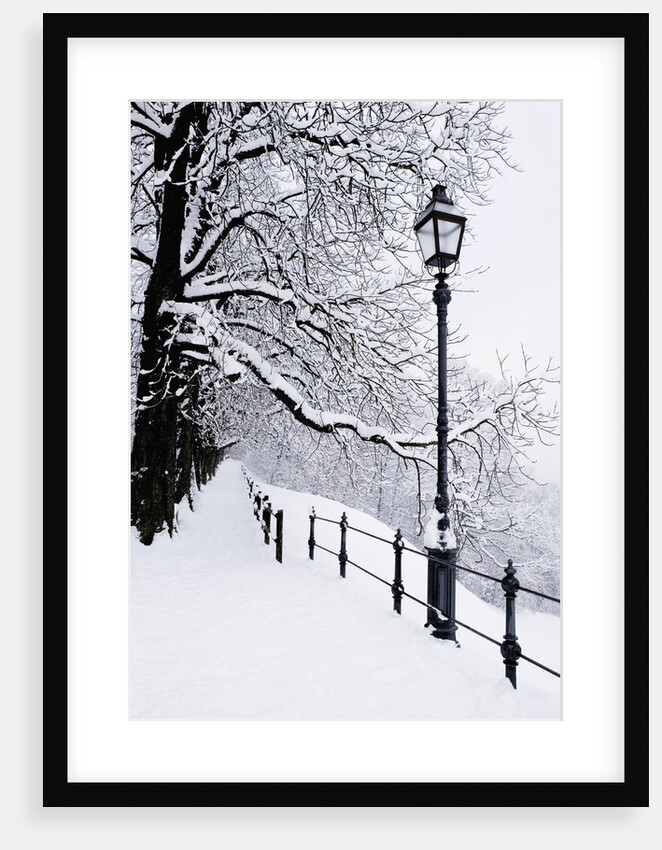 Trees and lamp post in snow by Anonymous