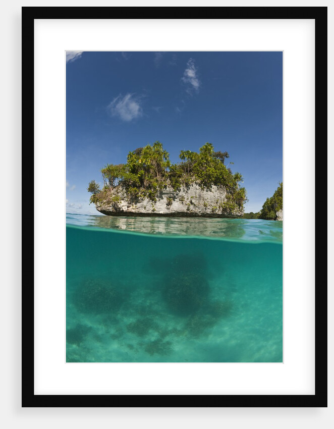 Small island off Palau, Micronesia by Anonymous
