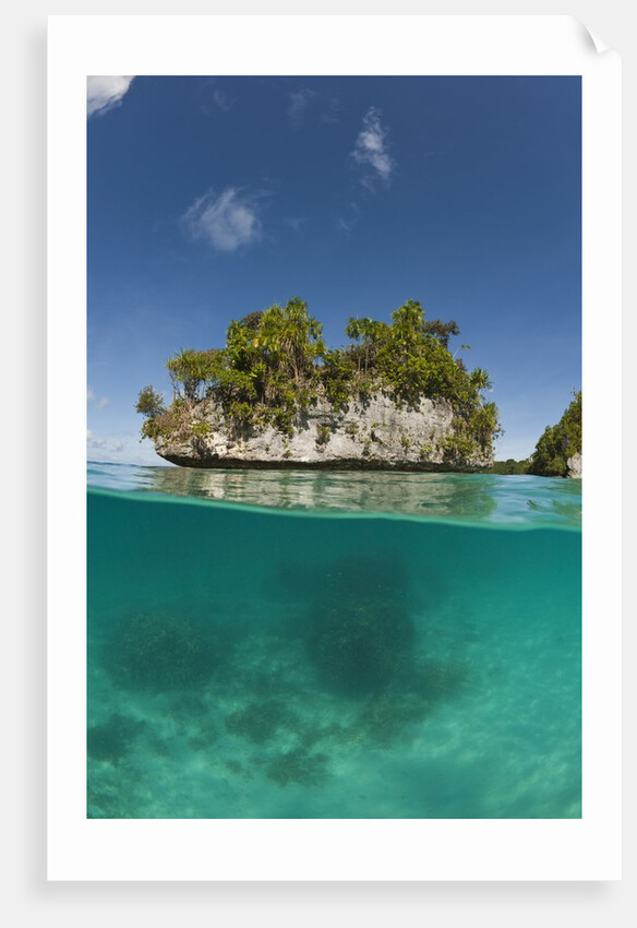Small island off Palau, Micronesia by Anonymous
