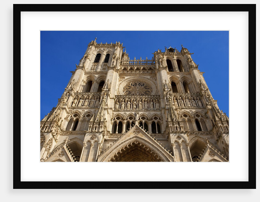 Notre-Dame d'Amiens Cathedral by Anonymous