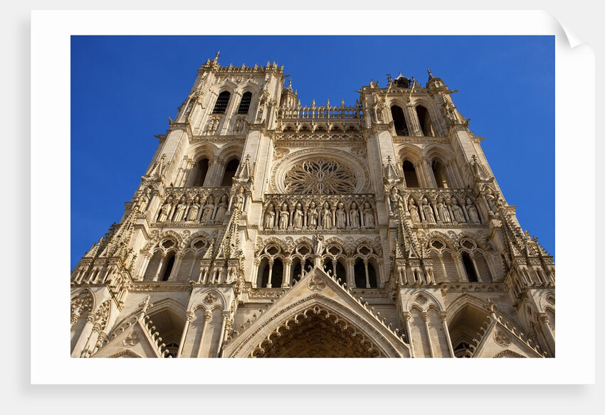 Notre-Dame d'Amiens Cathedral by Anonymous