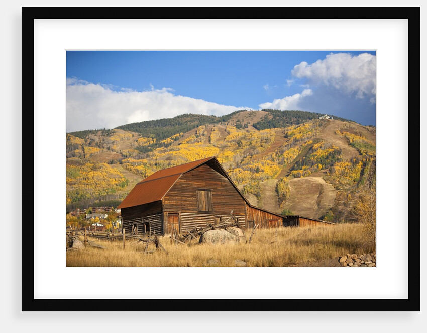The famous Steamboat Barn, Steamboat Springs Ski Area in the background with yellow aspen trees, Colorado by Anonymous