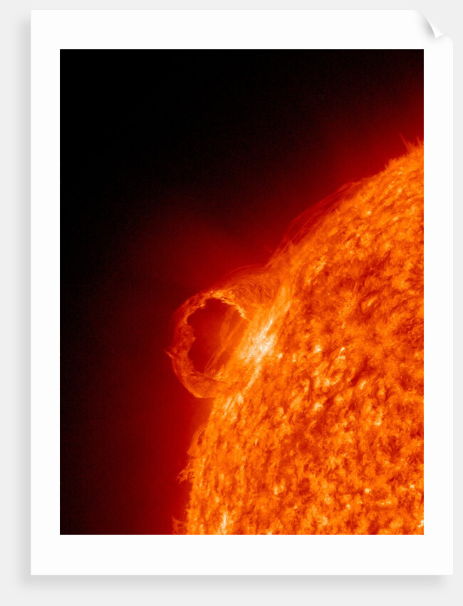 Solar flare on the Sun by Anonymous