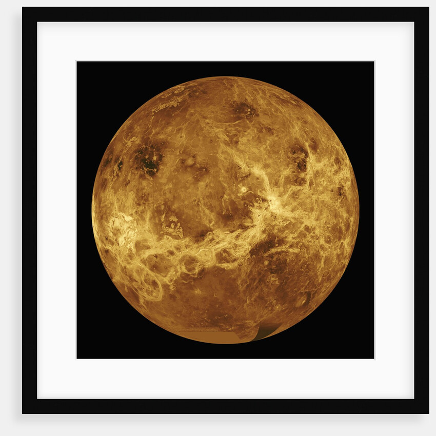 Venus by Anonymous