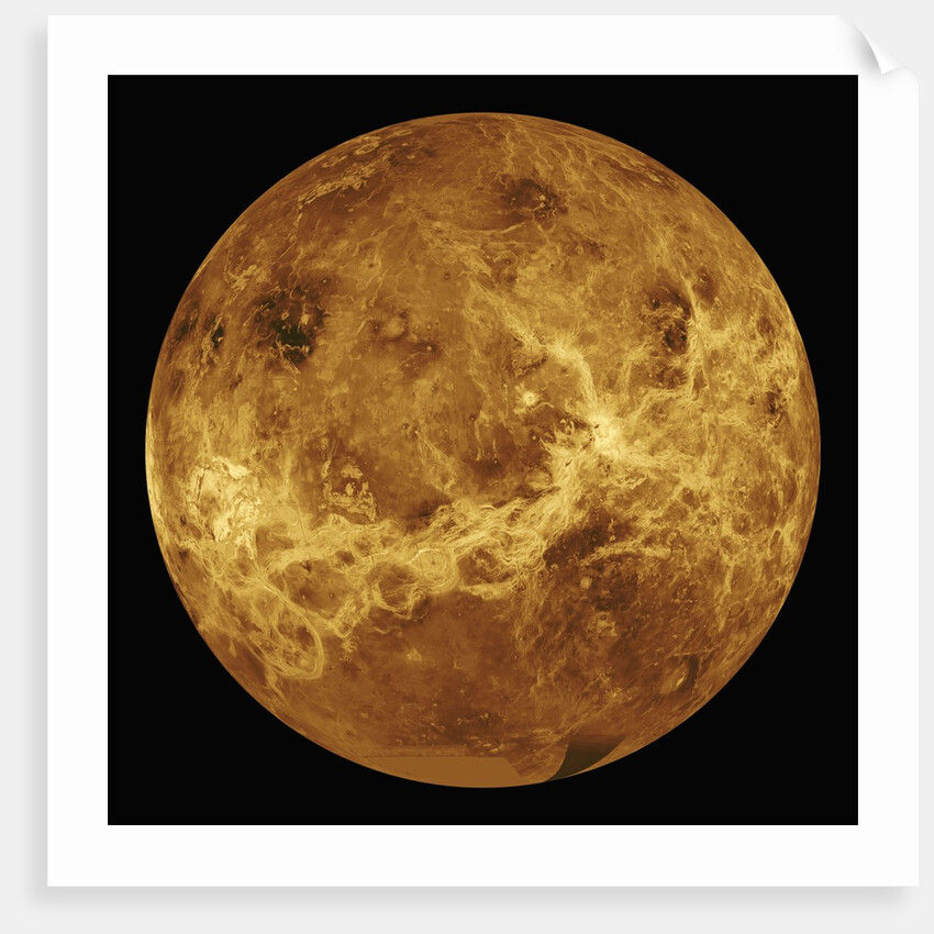 Venus by Anonymous