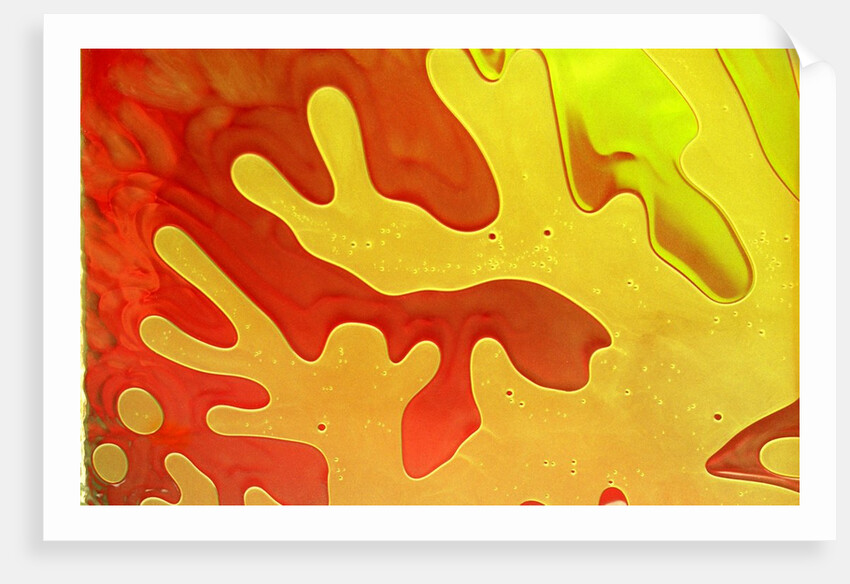 Shampoo taking on a coral-like form by Anonymous