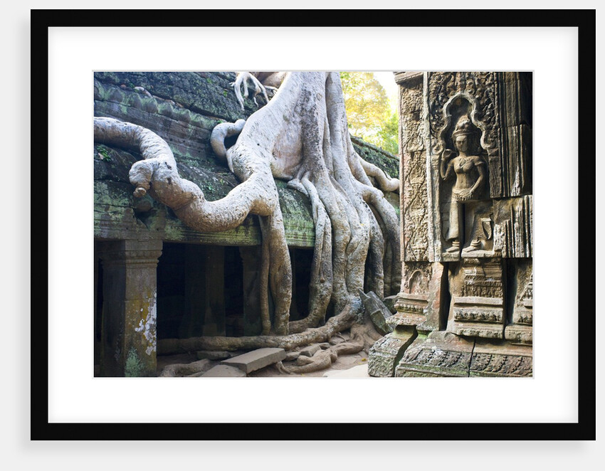 Tree roots overtaking Ta Prohm at Angkor by Anonymous