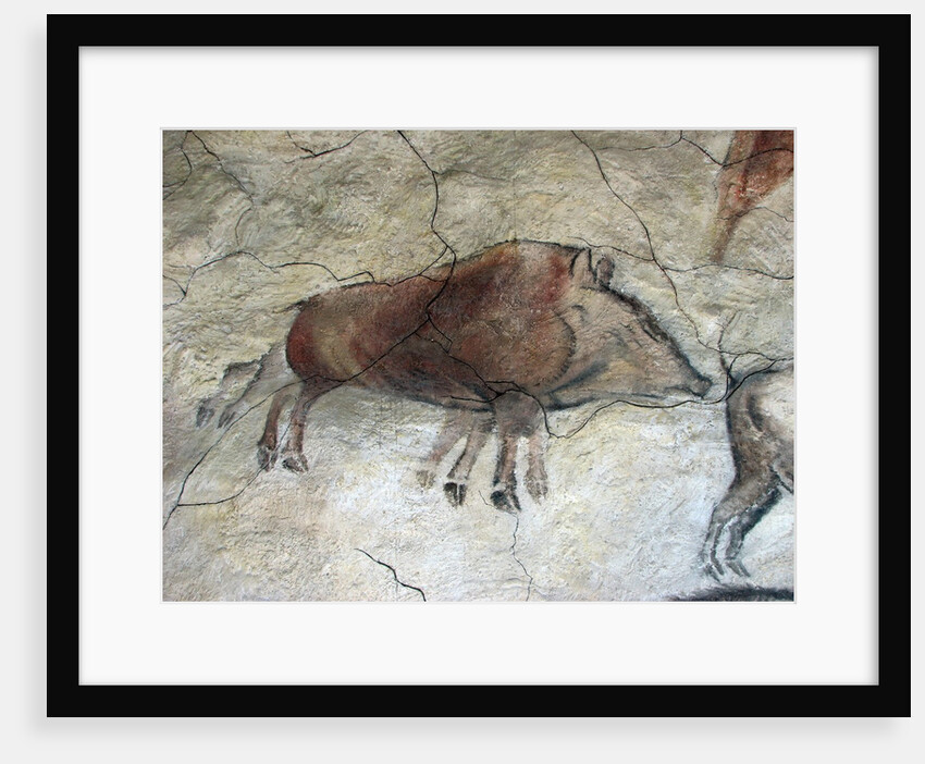 Replica of cave painting of boar from Altamira cave by Anonymous