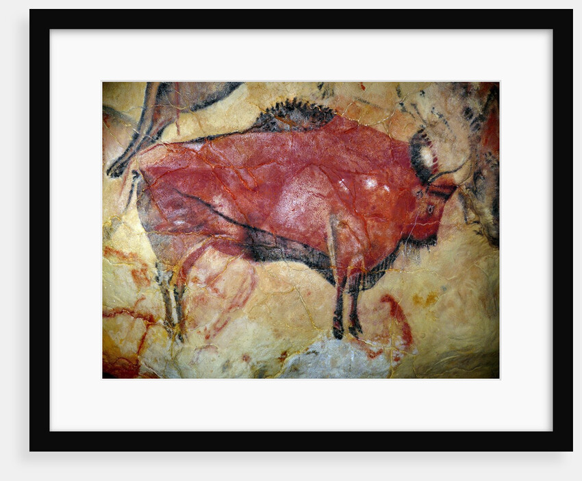 Cave painting of bison at Altamira by Anonymous