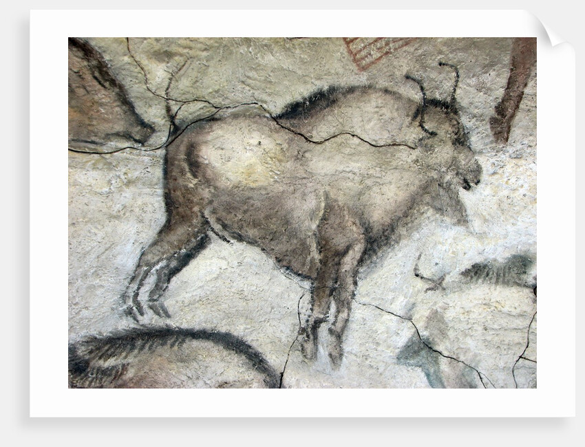 Replica of cave painting of bison from Altamira cave by Anonymous