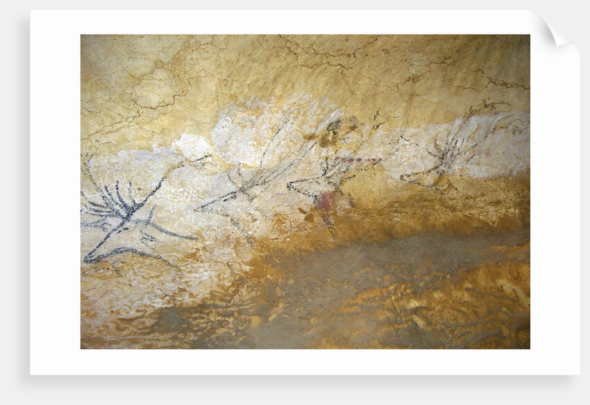 Cave painting of swimming stags at Lascaux by Anonymous