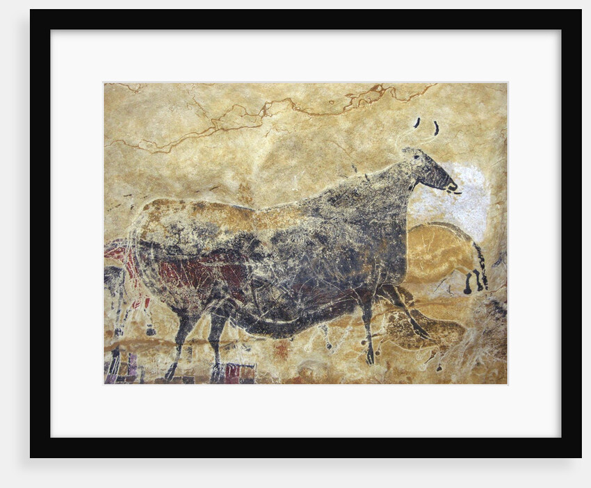 Black cow cave painting at Lascaux by Anonymous