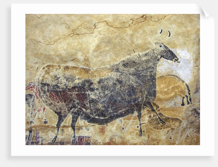 Black cow cave painting at Lascaux by Anonymous