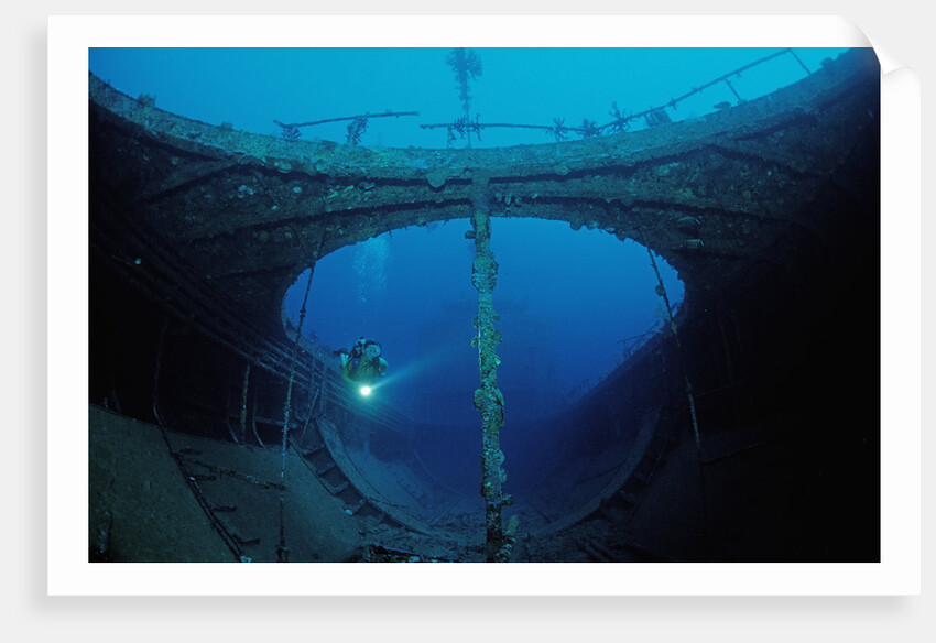 Scuba diver exploring a shipwreck, Papua New Guinea, Coral Sea. by Anonymous