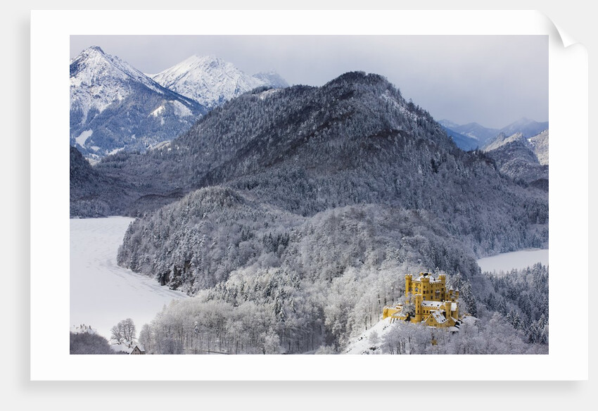 Schloss Hohenschwangau by Anonymous