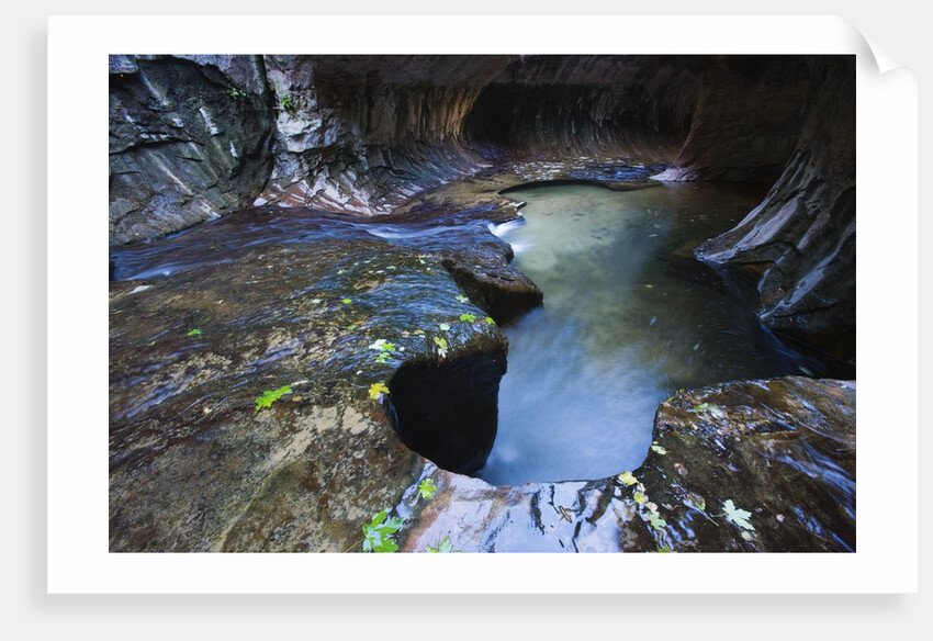 The Subway slot canyon by Anonymous