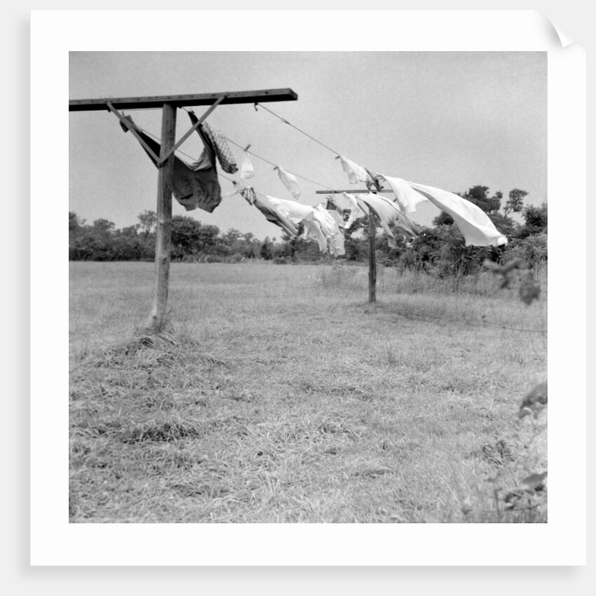 Clothes dry on a wooden line, ca. 1930. by Anonymous