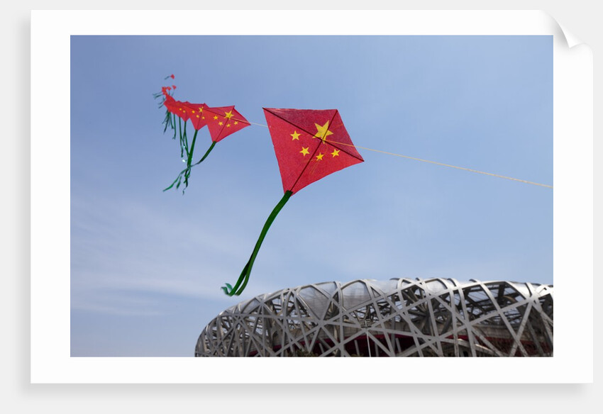 Kites flying by the Beijing National Stadium by Anonymous