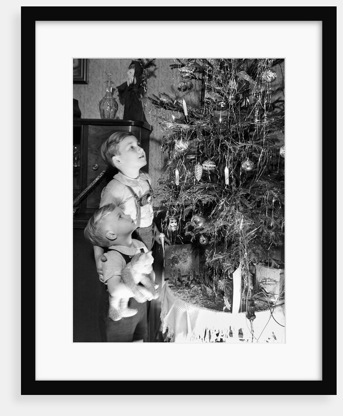 Two brothers look at a Christmas tree in their living room in Germany, ca. 1949 by Anonymous