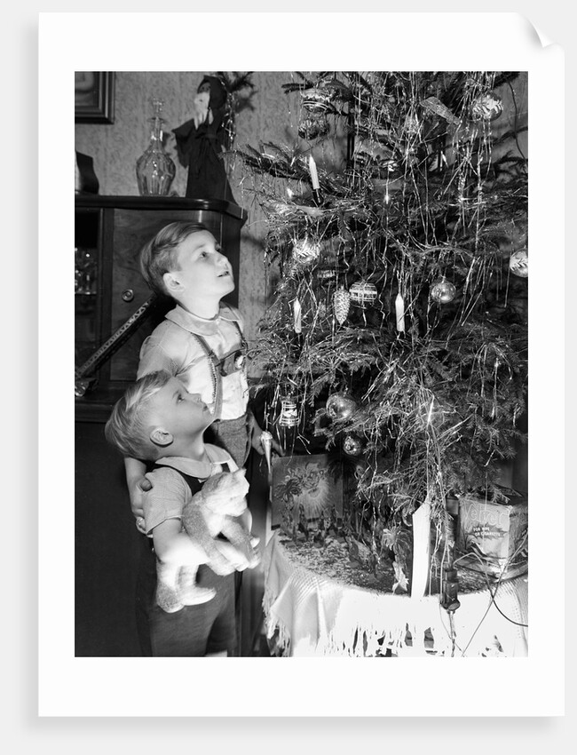 Two brothers look at a Christmas tree in their living room in Germany, ca. 1949 by Anonymous