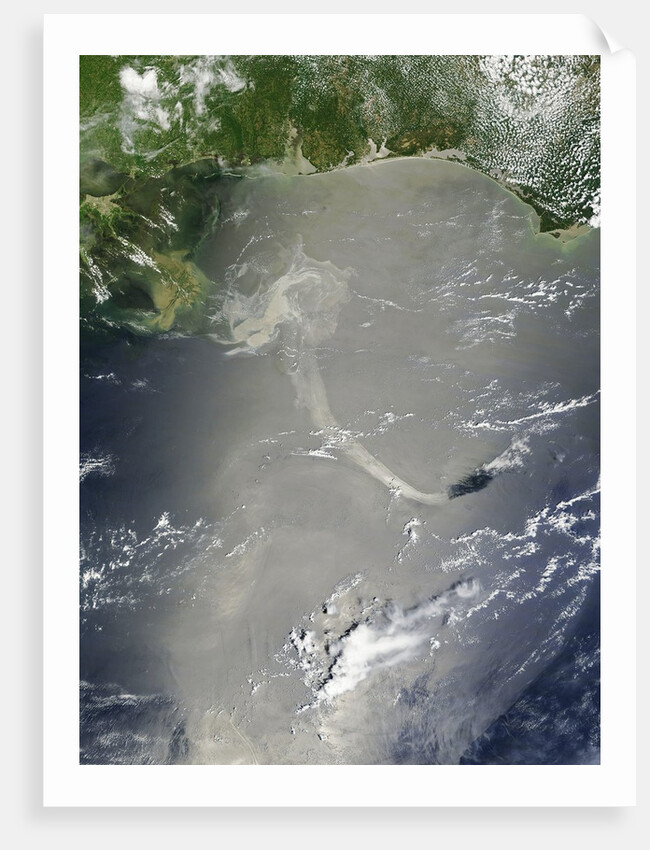 Oil slick in the Gulf of Mexico by Anonymous