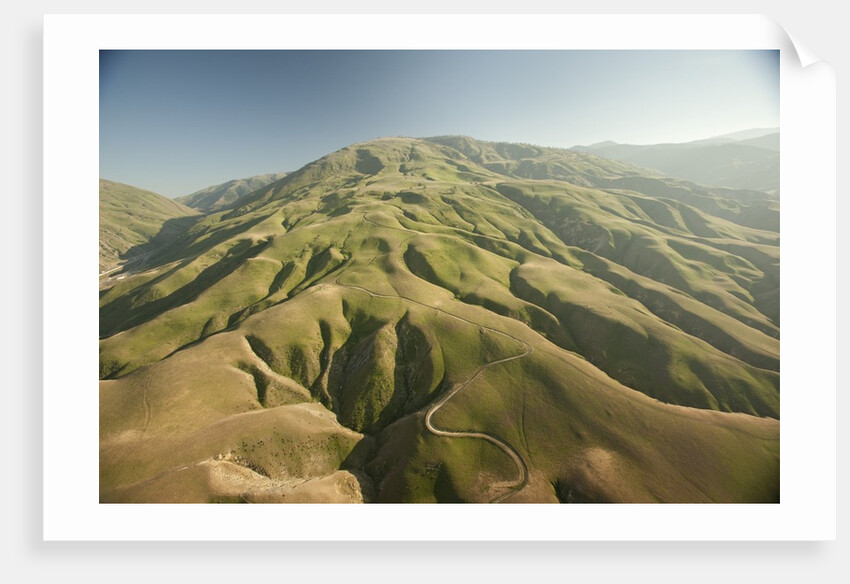Tejon Ranch in California by Anonymous