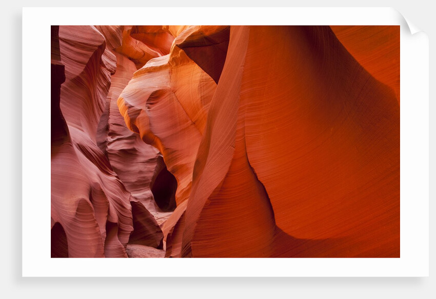 Lower Antelope Canyon by Anonymous