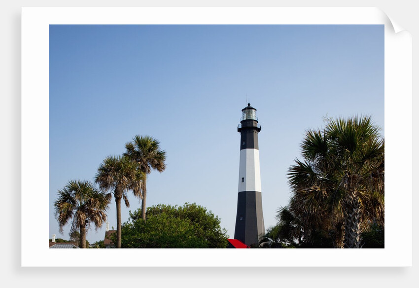 Tybee Lighthouse, Georgia by Anonymous